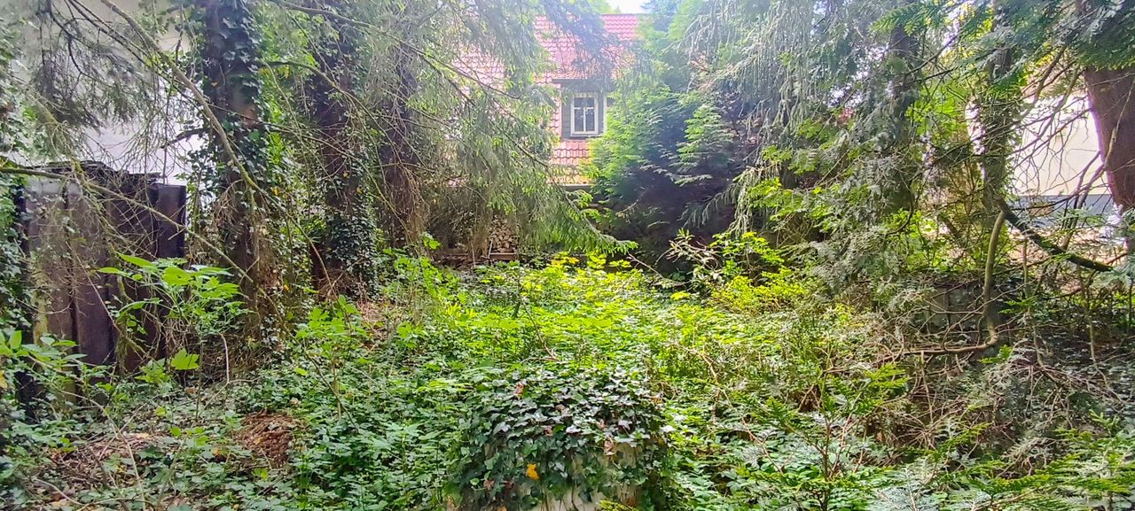 IMG_20250515_131422-bearbeitet