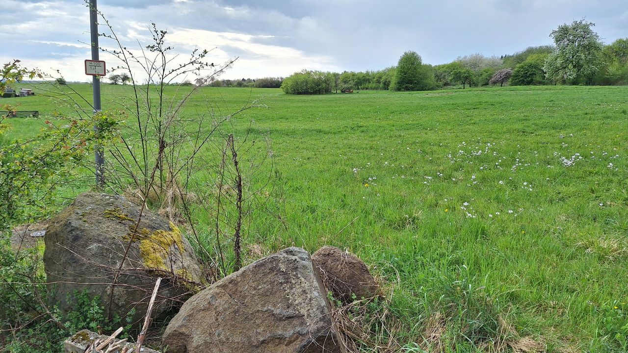 Ansicht