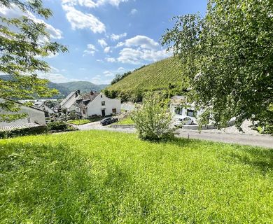 Rheinblick – tolles Baugrundstück in exponierter Lage zwischen Rhein und Weinbergen!