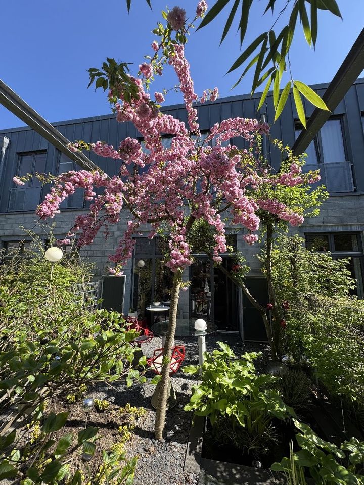 Gartenansicht